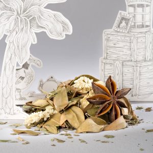 La blanche colombe – infusion pureté