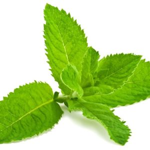 Menthe Poivrée Bio 250 ML – HA ESSENCIAGUA