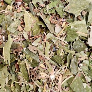 Ventre plat – Tisane en vrac Bio